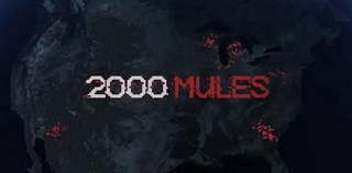2000 Mules (Documentary)